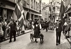 CPM St Malo Rue de Dinan Defile du Groupe Folklorique Quic en Groigne Chiens