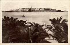 CPSM St Malo Vu de la Palmeraie de Dinard
