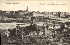 VINTAGE POSTCARD Holy Malo the Harvest of Goemon the walls Western parts TOP