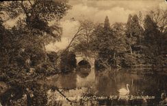 VINTAGE POSTCARD Lake and Bridge Cananon Hill Park Birmingham Swan