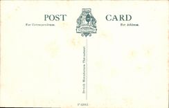 VINTAGE POSTCARD Bull Birmingham Boxing ring