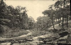 VINTAGE POSTCARD Shipley Glen Bradford
