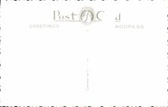 VINTAGE POSTCARD Eastbourne