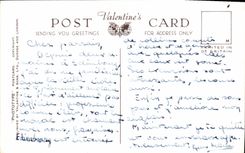 VINTAGE POSTCARD Edinburgh dog