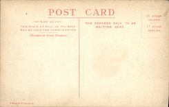 VINTAGE POSTCARD Edinburgh Princes Street and North British Hotel