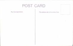 VINTAGE POSTCARD Edinburgh National Gallery and Princes Street Gardens