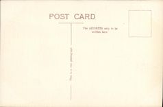 VINTAGE POSTCARD London Westminster Abbey And Parliament Public garden