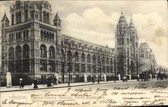 VINTAGE POSTCARD London Natural History Museum South Kensington