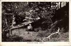 Vacas de Fairlie de la escena del arbolado de la POSTAL de la VENDIMIA