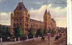 VINTAGE POSTCARD London Naural History Museum South kensington