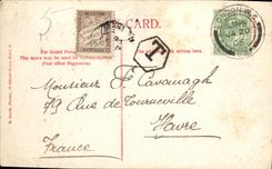 VINTAGE POSTCARD St Pauls West Face