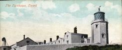 VINTAGE POSTCARD The Lighthouse Lizard Lighthouse