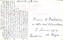 VINTAGE POSTCARD The Lighthouse Lizard Lighthouse