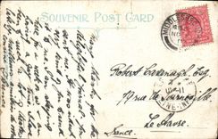 El pato de la POSTAL de la VENDIMIA cuece al horno el parque Middlesbourgh de Publlc