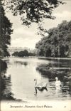 VINTAGE POSTCARD Longwater Hampton Court De luxe hotel Swans