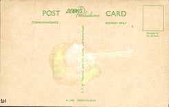 VINTAGE POSTCARD The Duchess Of Montrose At Kyles Of Butts