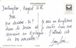 MODERN CARD Dartmoor Ponies Haytor