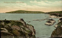 VINTAGE POSTCARD Cardigan Island From Iwbert