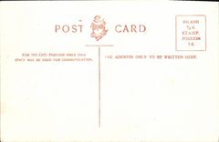 VINTAGE POSTCARD In the Central Highlands Sheep