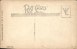 VINTAGE POSTCARD The Choir Looking West Exeter Cathedral