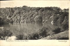 CPA Sharpham Woods River Dart