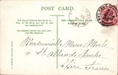 VINTAGE POSTCARD Shane S Castle Co Antrim