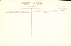 VINTAGE POSTCARD Wells Cathedral S E 