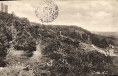 CPA Leith Hill