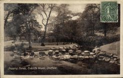 CPA Stepping Stones Endcliffe Woods Sheffield