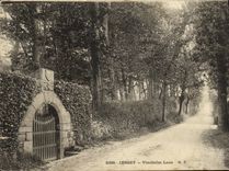 CPA Jersey Vinchelez Lane