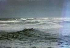 CPM Mer et Rivages De Robert Tixdor