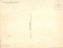 CPA Couleurs Et Lumiere De France Contre jour en foret