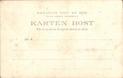 CPA Un grand pardon Breton Ste Anne le Palud Les femmes amriees portant la statue de Ste Anne a la procession folklore