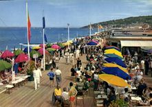 CPM Deauville Plage Fleurie Le Bar du soleil et la Plage