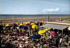 CPM Deauville Plage Fleurie Le Bar du soleil et la Plage