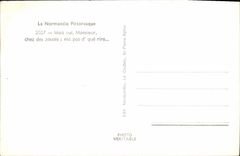 MODERN CARD Masi Norman yes Mr Folklore Costume Goose Duck