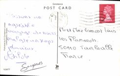 MODERN CARD Weymouth pine