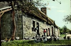 CPM La Normandie Petite Ferme