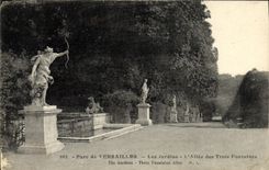 CPA Versailles Les Jardins L Allee des Trois fontaines