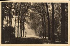 CPA Versailles Allee de l ete 