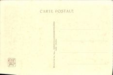 CPA Exposition Coloniale Internationale Paris 1931 Parc zoologique Lion et lionnes Zoo