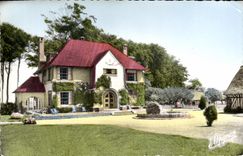 MODERN CARD Neville the Fold