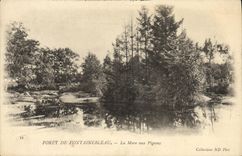CPA Foret de Fontainbleau La Mare aux Pigeons