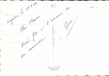 VINTAGE POSTCARD Rose Flower