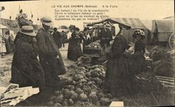 VINTAGE POSTCARD Country life with the Fair