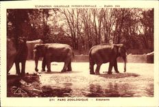 CPA Exposition Coloniale Internationale Paris Parc Zoologique Elephants Zoo