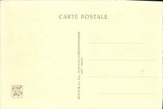 VINTAGE POSTCARD Fair Colonial International Paris Zoological gardens Elephants Zoo