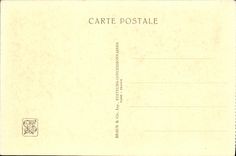 VINTAGE POSTCARD Fair Colonial International Paris Zoological gardens the Ostriches Zoo