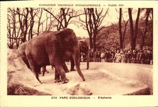 CPA Exposition Coloniale Internationale Paris Parc Zoologique Elephants Zoo