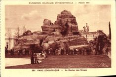 VINTAGE POSTCARD Fair Colonial International Paris Zoological gardens the Rock of the Monkeys